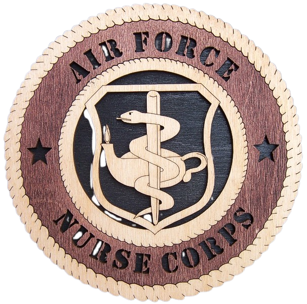 Air Force Nurse